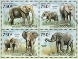 Elephants of Africa Stamp Loxodonta Africana Souvenir Sheet MNH #4846-4849