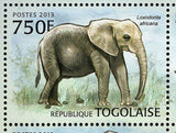 Elephants of Africa Stamp Loxodonta Africana Souvenir Sheet MNH #4846-4849