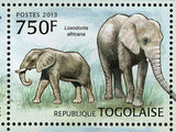 Elephants of Africa Stamp Loxodonta Africana Souvenir Sheet MNH #4846-4849
