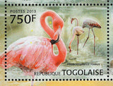 Flamingos Stamp Phoenicopterus Roseus Bird S/S MNH #4806-4809
