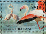 Flamingos Stamp Phoenicopterus Roseus Bird S/S MNH #4806-4809