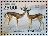 Bovid Species Stamp Western Africa Gazella Dorcas S/S MNH #4830 / Bl.784