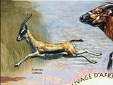 Bovid Species Stamp Western Africa Gazella Dorcas S/S MNH #4830 / Bl.784