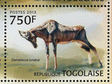 Bovid Species Stamp Western Africa Gazella Dorcas S/S MNH #4826-4829