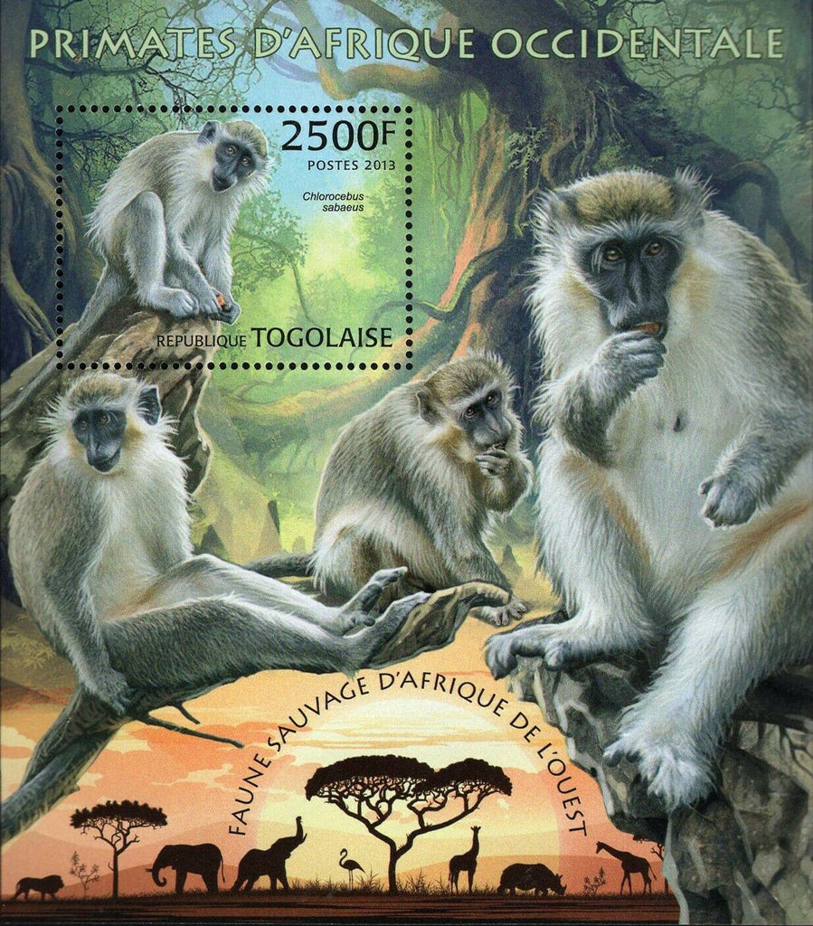 Primates of West Africa Stamp Chlorocebus Sabaeus S/S MNH #4895 / Bl.797
