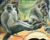 Primates of West Africa Stamp Chlorocebus Sabaeus S/S MNH #4895 / Bl.797