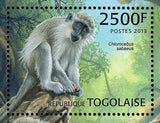 Primates of West Africa Stamp Chlorocebus Sabaeus S/S MNH #4895 / Bl.797