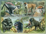 Primates of West Africa Stamp Chlorocebus Sabaeus S/S MNH #4891-4894
