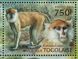 Primates of West Africa Stamp Chlorocebus Sabaeus S/S MNH #4891-4894