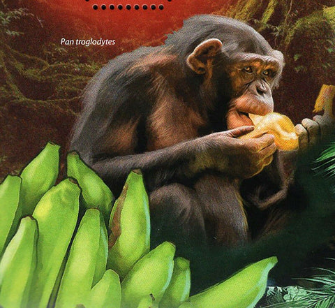 Year of Monkey Stamp Macaca Mulatta Simia Sciureus S/S MNH #6434 / Bl.1139