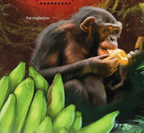 Year of Monkey Stamp Macaca Mulatta Simia Sciureus S/S MNH #6434 / Bl.1139