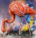 Flamingos Stamp Phoenicopterus Roseus Ruber S/S MNH #5814 / Bl.1018