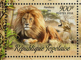 Lions Stamp Panthera Leo Wild Animal Souvenir Sheet MNH #7449-7452