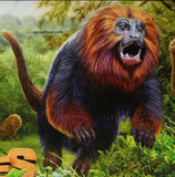 Primates Stamp Leontopithecus Rosalia Cercopithecus Neglectus S/S MNH #7473