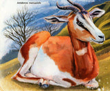 National Animal of Central Africa Stamp Anthropoides Paradiseus S/S MNH #7683