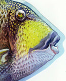 Fish Stamp Balistoides Viridescens Choerodon Schoenleinii S/S MNH #6195 / Bl.109