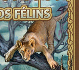 Big Cats Stamp Panthera Tigris Altaica Souvenir Sheet MNH #4586 / Bl.621