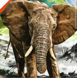 Elephants Stamp Loxodonta Africana Souvenir Sheet MNH #2834 / Bl.308