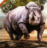 Rhinoceros Stamp Diceros Bicornis Rhinoceros Sondaicus S/S MNH #2829 / Bl.307