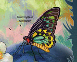 Butterflies Stamp Papilio Aegeus Papilio Ulysses S/S MNH #7249 / Bl.889