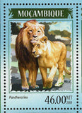 Lions Leopards Stamp Panthera Pardus Panthera Leo S/S MNH #7370-7373