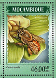 Bees Stamp Colletes Daviesanus Xylocopa Valga S/S MNH #7250-7253