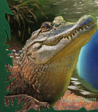 Alligators Stamp Alligator Mississippiensis Souvenir Sheet MNH #7269 / Bl.893