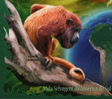 Monkeys Stamp Callithrix Geoffroyi Alouatta Seniculus S/S MNH #7389 / Bl.917