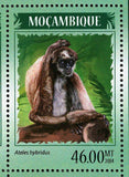 Monkeys Stamp Mico Argentatus Saguinus Imperator S/S MNH #7385-7388