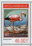 Animals in Red List Stamp Phoenicoparrus Andinus S/S MNH #7185-7188