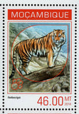 Animals in Red List Stamp Phoenicoparrus Andinus S/S MNH #7185-7188