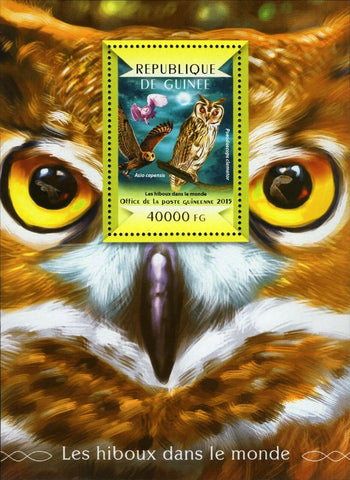 Owls Bird Stamp Asio Capensis Pseudoscops Clamator S/S MNH #10941 / Bl.2483
