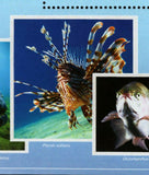 Fish Stamp Amphiprion Ocellaris Pterois Volitans S/S MNH #10681 / Bl.2431