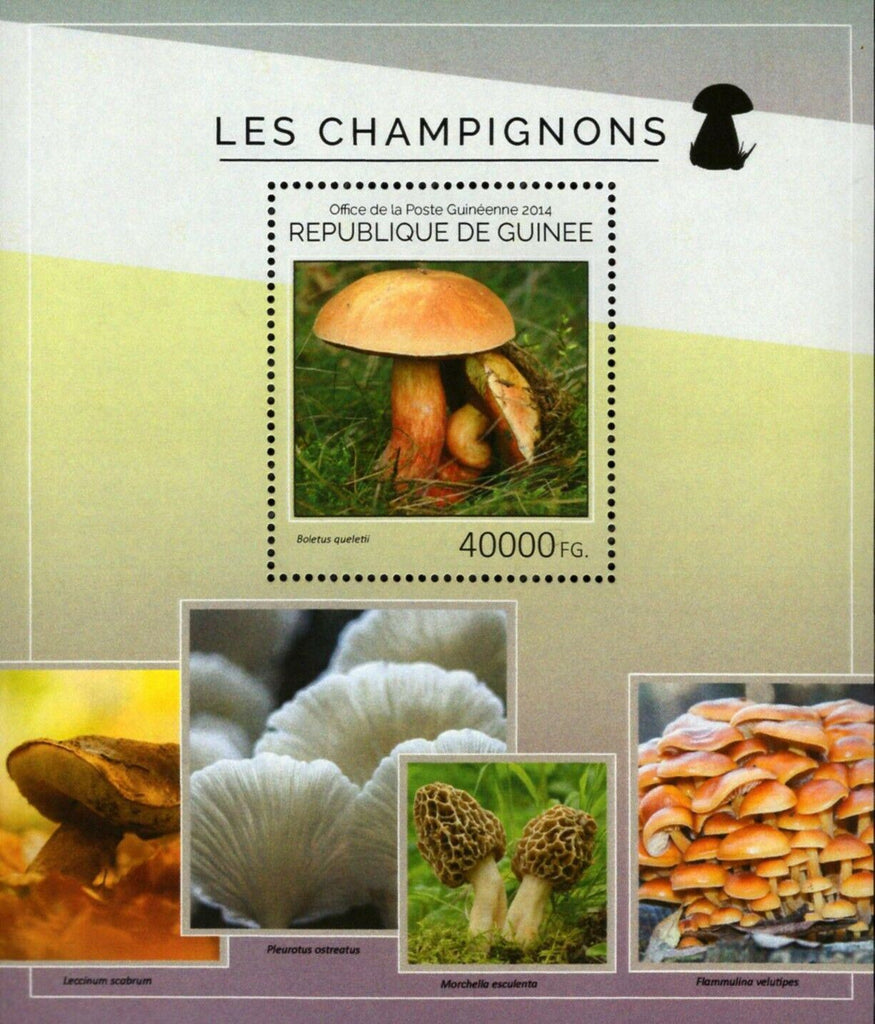Mushrooms Stamps Boletus Queletii Pleurotus Ostreatus S/S MNH #10666 / Bl.2428