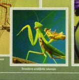 Insects Stamp Aglais Io Kallima Inachus S/S MNH #10672-10675