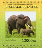 Elephants Stamp Loxodonta Africana Souvenir Sheet MNH #10707-10710