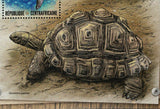 Turtles Stamp Chelonia Mydas Cuora Amboinensis S/S MNH #6594 / Bl.1540
