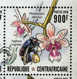 Orchid Bees Stamp Koellensteina Ionoptera Euglossa Variabilis S/S MNH #6545-6548