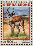 Park Etosha Namibia Stamp Ceratotherium Simum S/S MNH #7238-7241