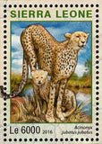 Park Kruger Stamp South Africa Acinonyx Jubatus S/S MNH #7270-7273