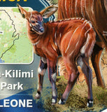 Outamba Kilimi Park Stamp Sierra Leone Procolobus Badius S/S MNH #7304 / Bl.986