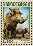 Outamba Kilimi Park Stamp Sierra Leone Coracias Cyanogaster S/S MNH #7258-7261