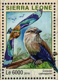 Outamba Kilimi Park Stamp Sierra Leone Coracias Cyanogaster S/S MNH #7258-7261