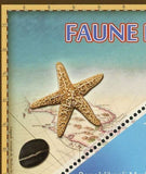 Fauna Fish Stamp Tursiops Aduncus Dolphin Souvenir Sheet Mint NH