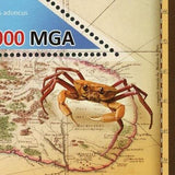 Fauna Fish Stamp Tursiops Aduncus Dolphin Souvenir Sheet Mint NH