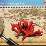 Fauna Fish Stamp Tursiops Aduncus Dolphin Souvenir Sheet Mint NH