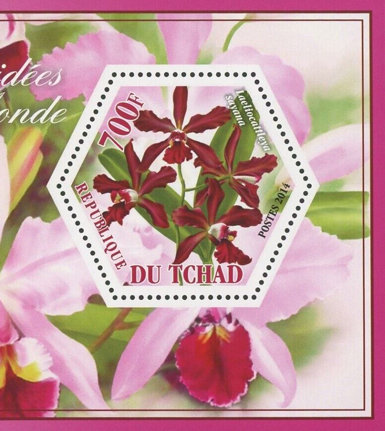Orchid Flower Cypripedium Laeliocattleya Souvenir Sheet of 2 Stamps Mint NH
