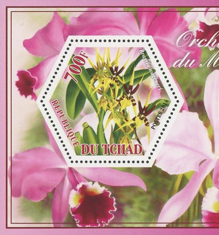 Orchid Flower Brassia Catasetum Souvenir Sheet of 2 Stamps Mint NH