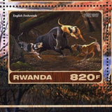 Hunting Dog Stamp Greyhound Springer Spaniel Beagles Laika S/S of 6 Stamps MNH