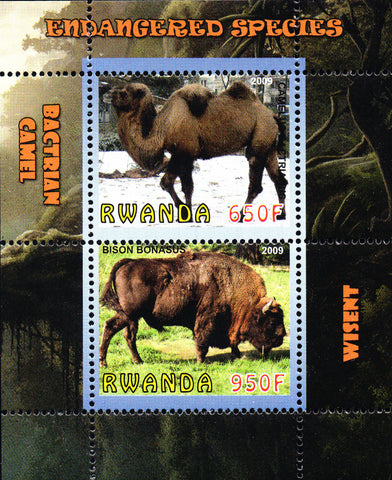 2009 CAMEL BUFFALO BISON MNH souvenir sheet